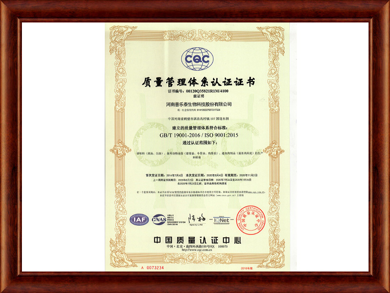 ISO9001质量管理体系认证证书（中文）